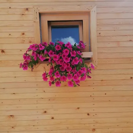 Hiska Zeleni Raj Podnart