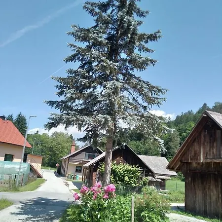 Hiska Zeleni Raj * Podnart