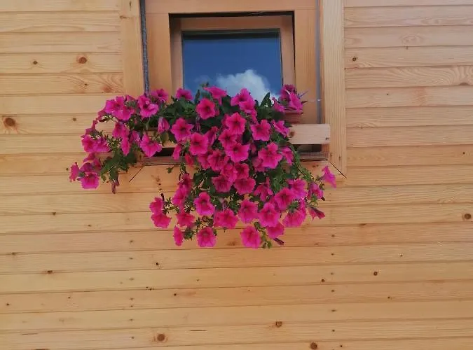 Hiska Zeleni Raj Podnart