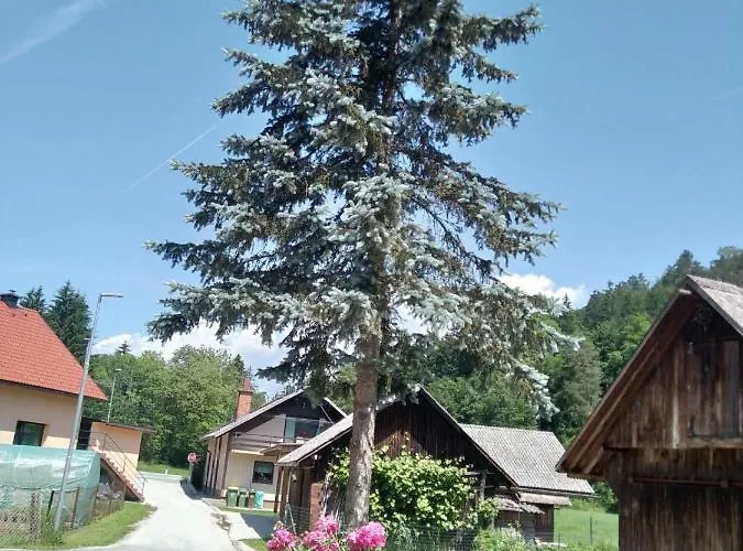 Hiska Zeleni Raj * Podnart